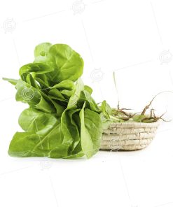 ESPINACA BLANCA UNIDAD